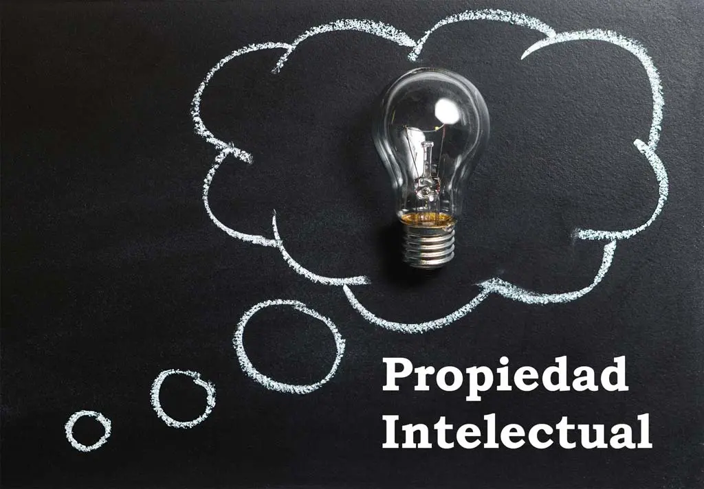 Propiedad intelectual (PI)