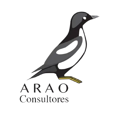 ARAO Consultores