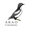 ARAO Consultores