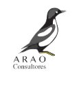 Arao Consultores