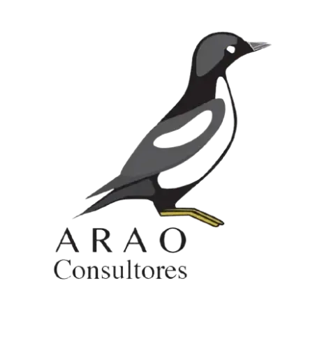 ARAO Consultores