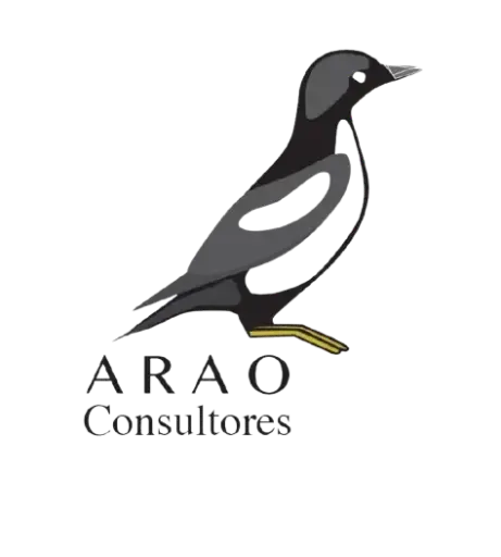 Arao Consultores